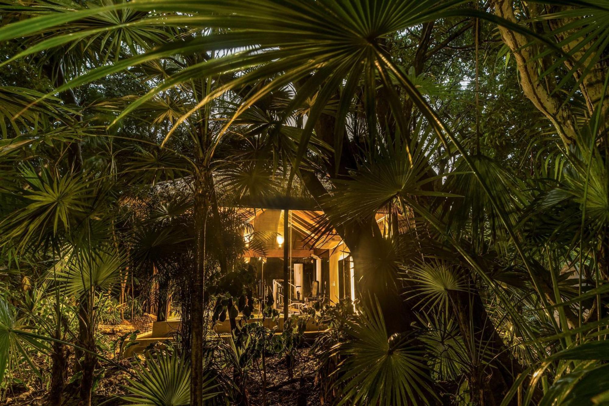 Station touristique Viceroy Riviera Maya, A Luxury (adults Only)