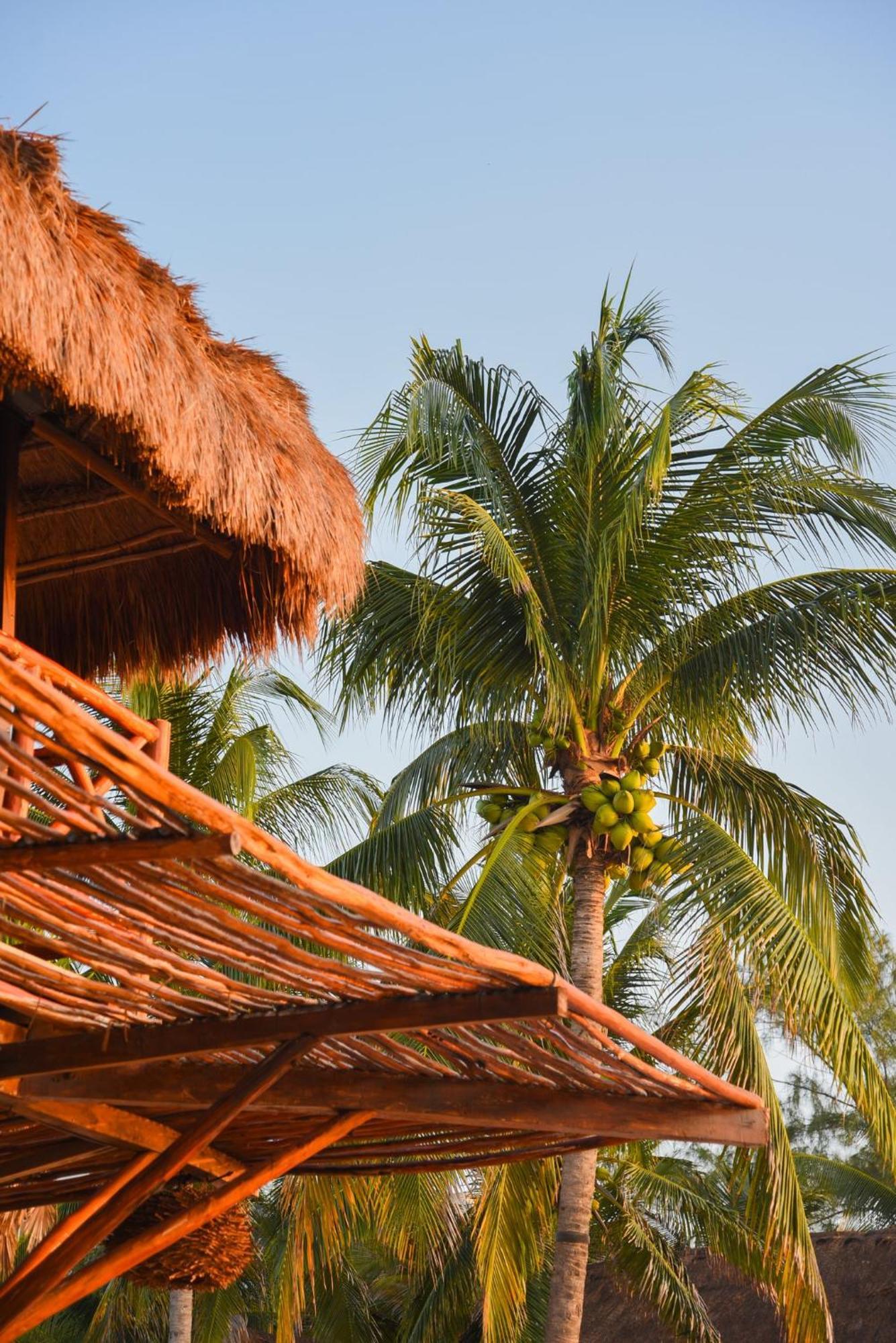 Viceroy Riviera Maya, A Luxury (adults Only) Station touristique Riviera Maya