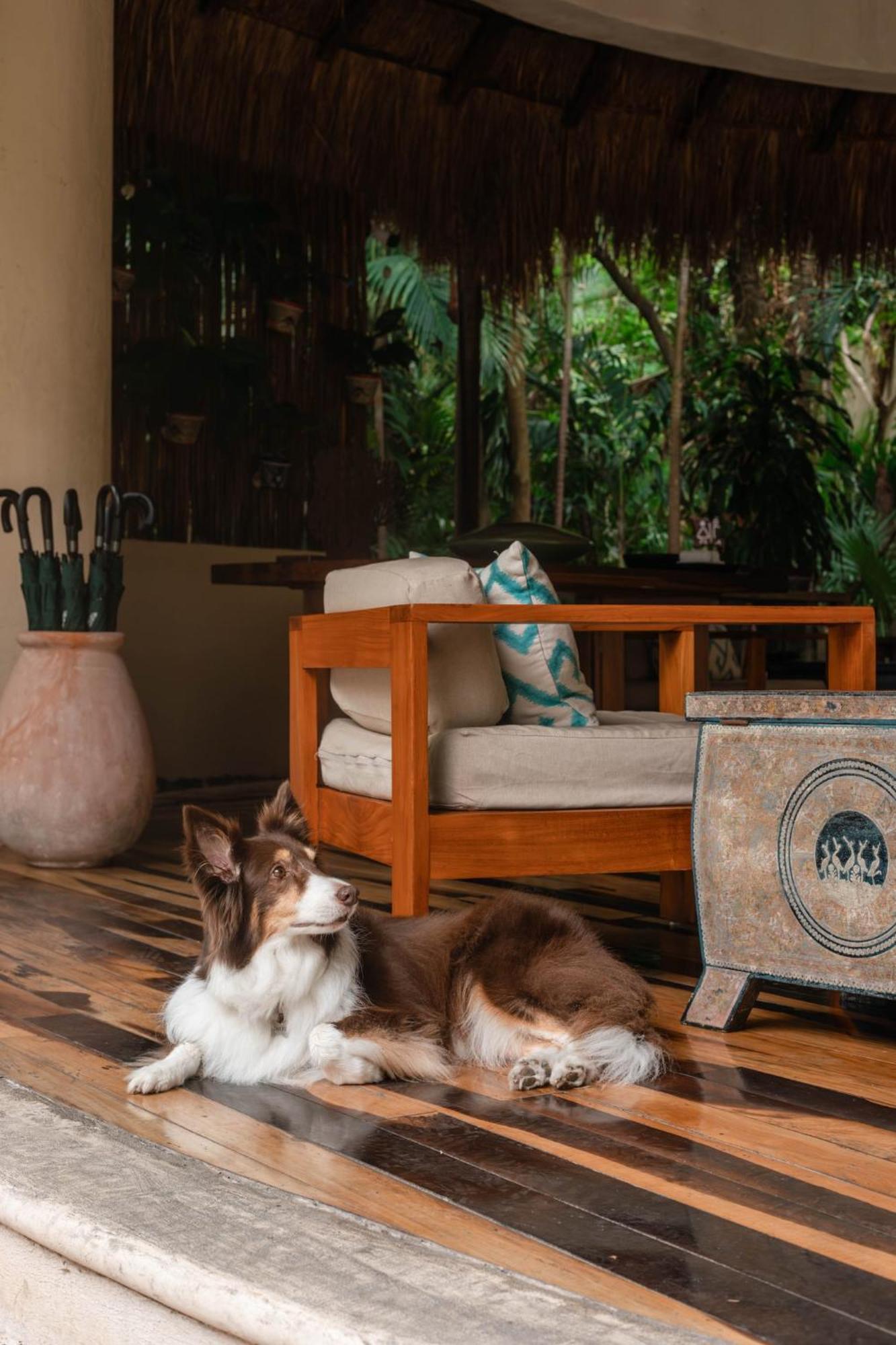 Viceroy Riviera Maya, A Luxury - Adults Only Resort Riviera Maya